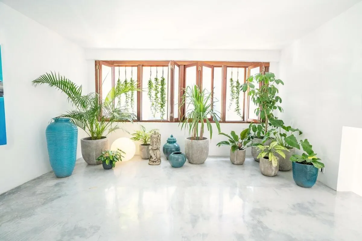 Villa Sassy - Private Seminyak Oasis - Elle Decor Award Winner 0*,  Indonesia
